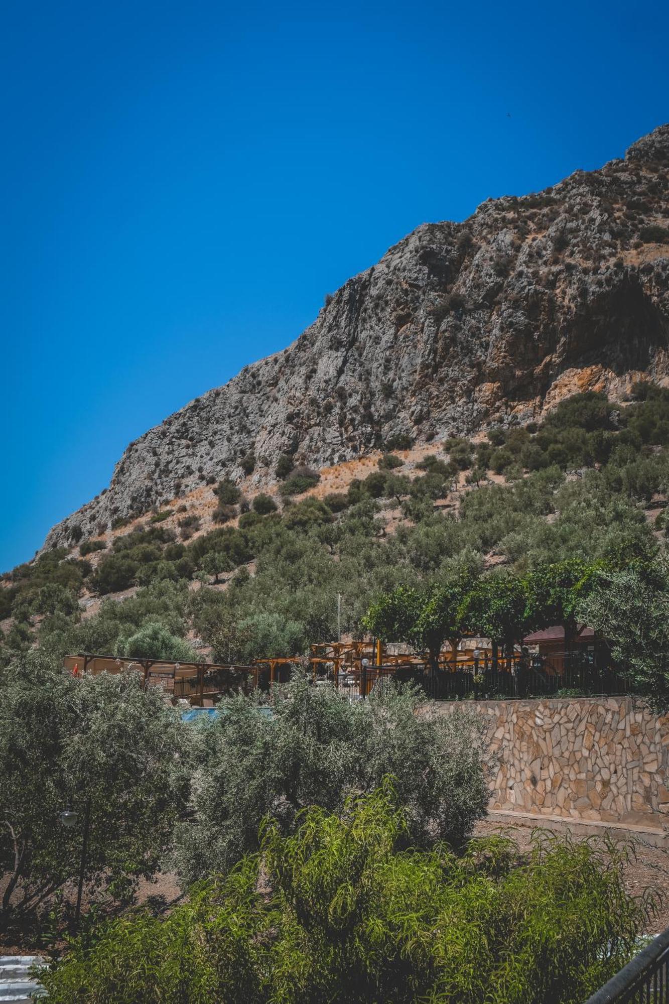 Natureland Efes Pension Selcuk Exteriér fotografie