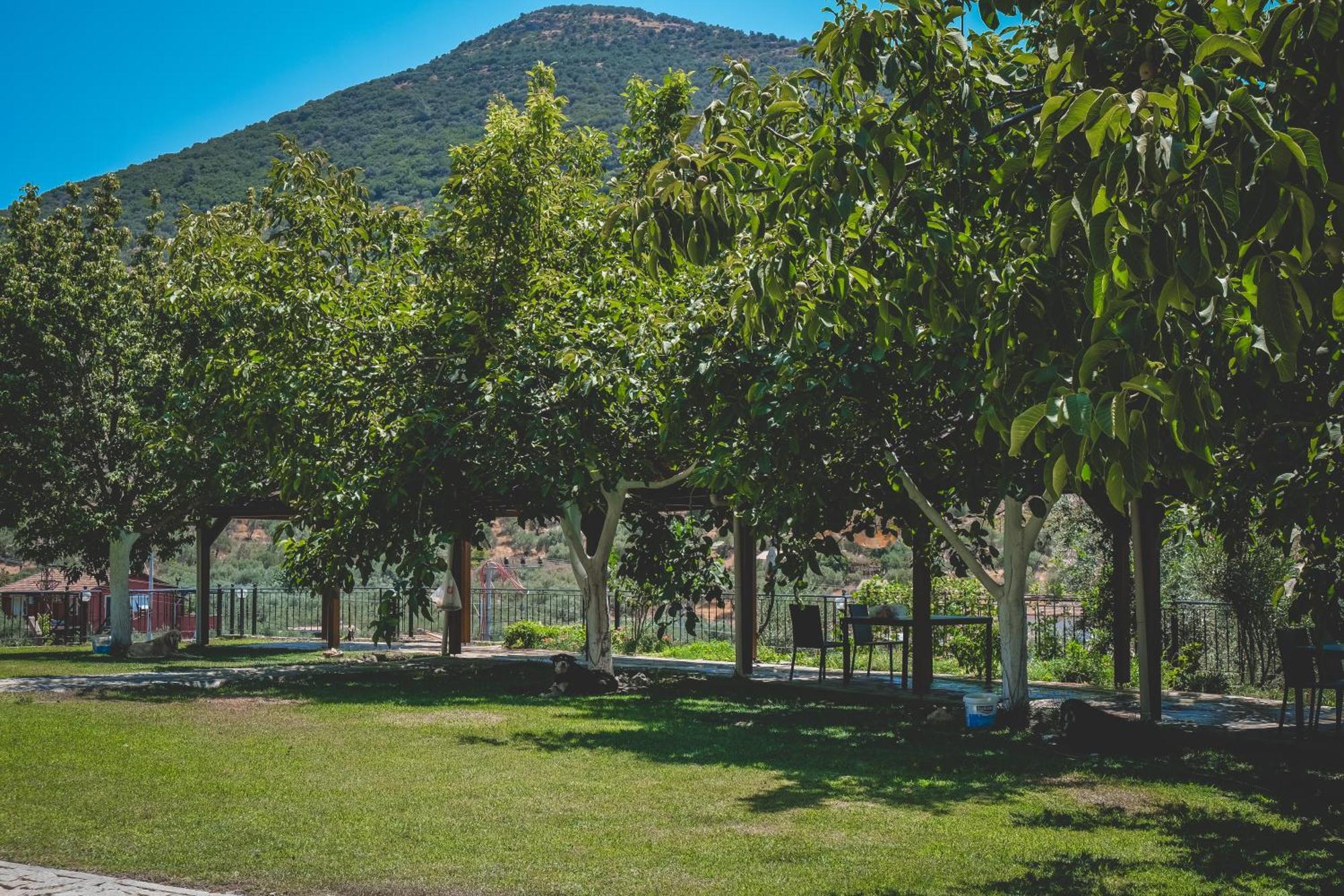 Aparthotel Natureland Efes Pension Selcuk Exteriér fotografie