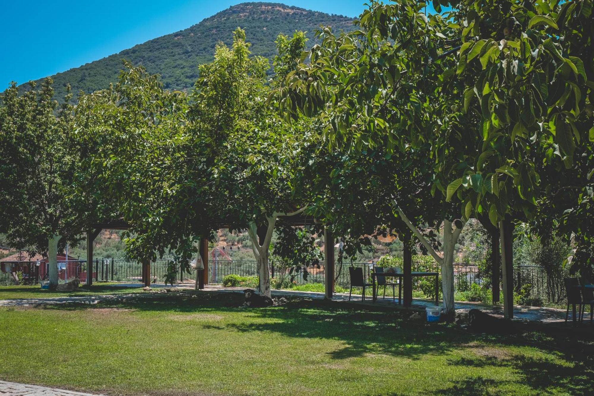 Natureland Efes Pension Selcuk Exteriér fotografie