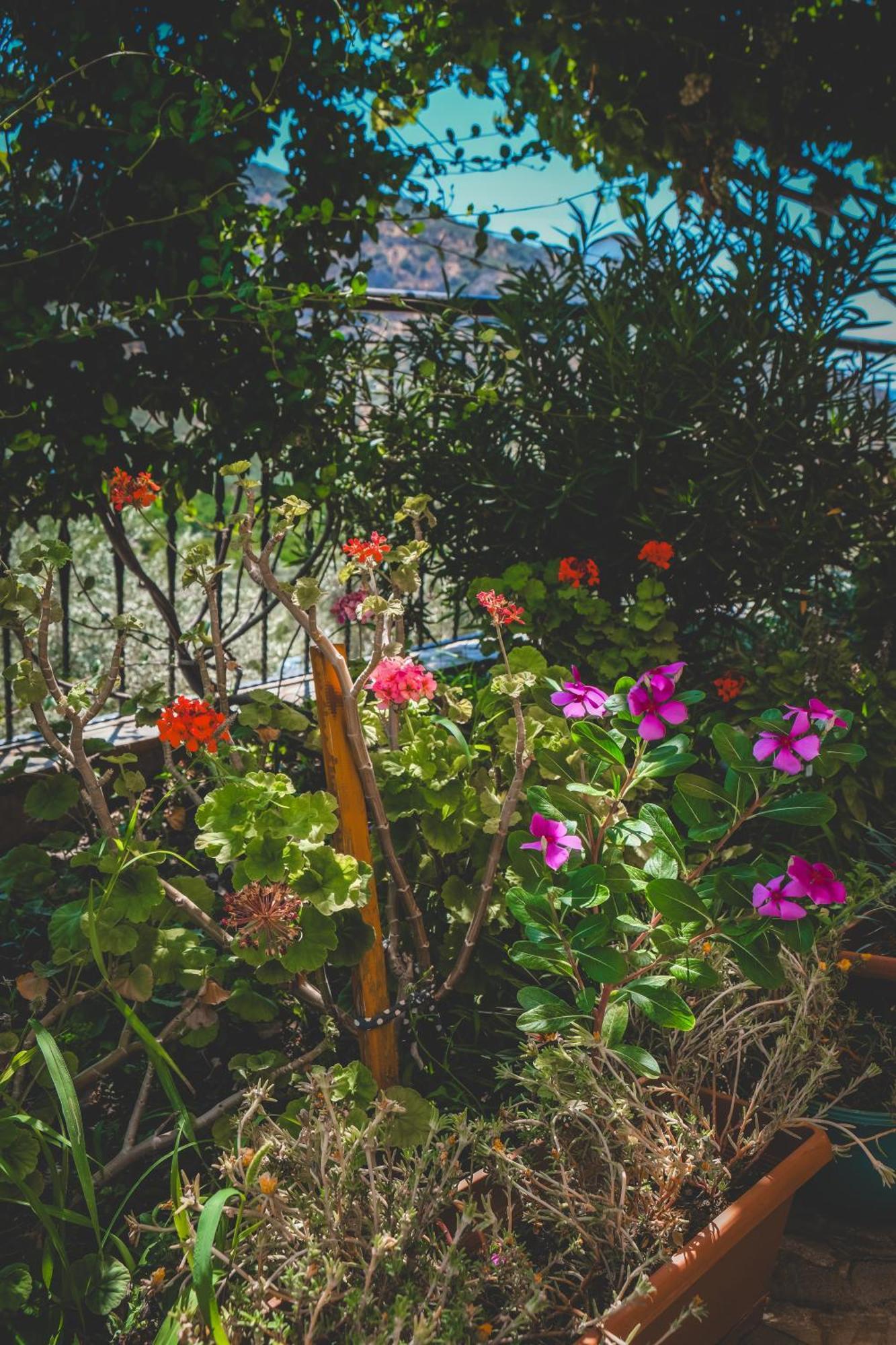 Natureland Efes Pension Selcuk Exteriér fotografie