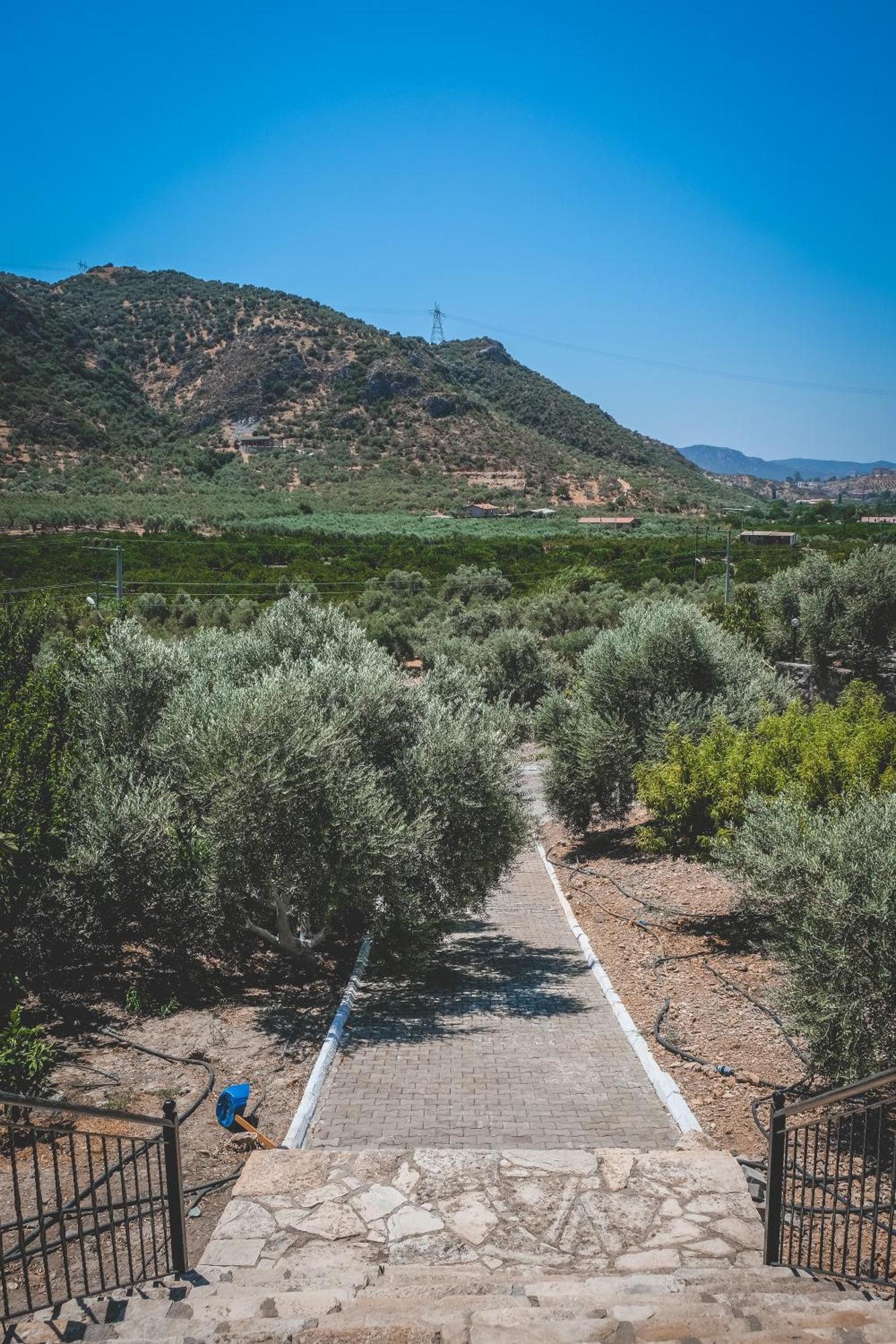 Aparthotel Natureland Efes Pension Selcuk Exteriér fotografie