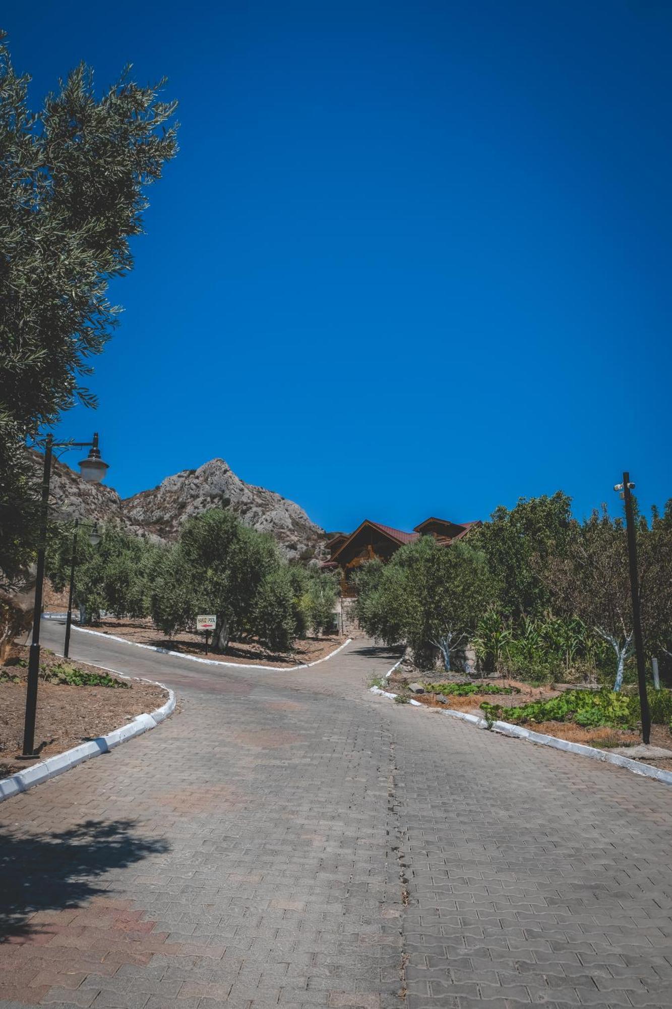Natureland Efes Pension Selcuk Exteriér fotografie